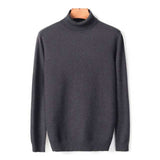 Autumn Winter Men's Warm Turtleneck Sweater High Quality Fashion Sweaters
