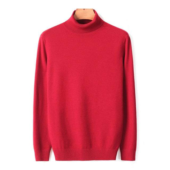 Autumn Winter Men's Warm Turtleneck Sweater High Quality Fashion Sweaters