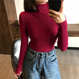 Autumn Winter Women Thick Sweater Knitted Ribbed Turtleneck Sweaters