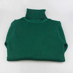Women's Warm Thick Turtleneck Autumn Winter Sweater - Acapparelstore