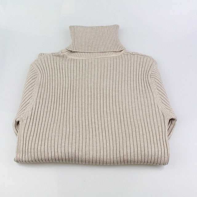 Women's Warm Thick Turtleneck Autumn Winter Sweater